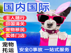 扬州泰州机场物流国际宠物托运 【国